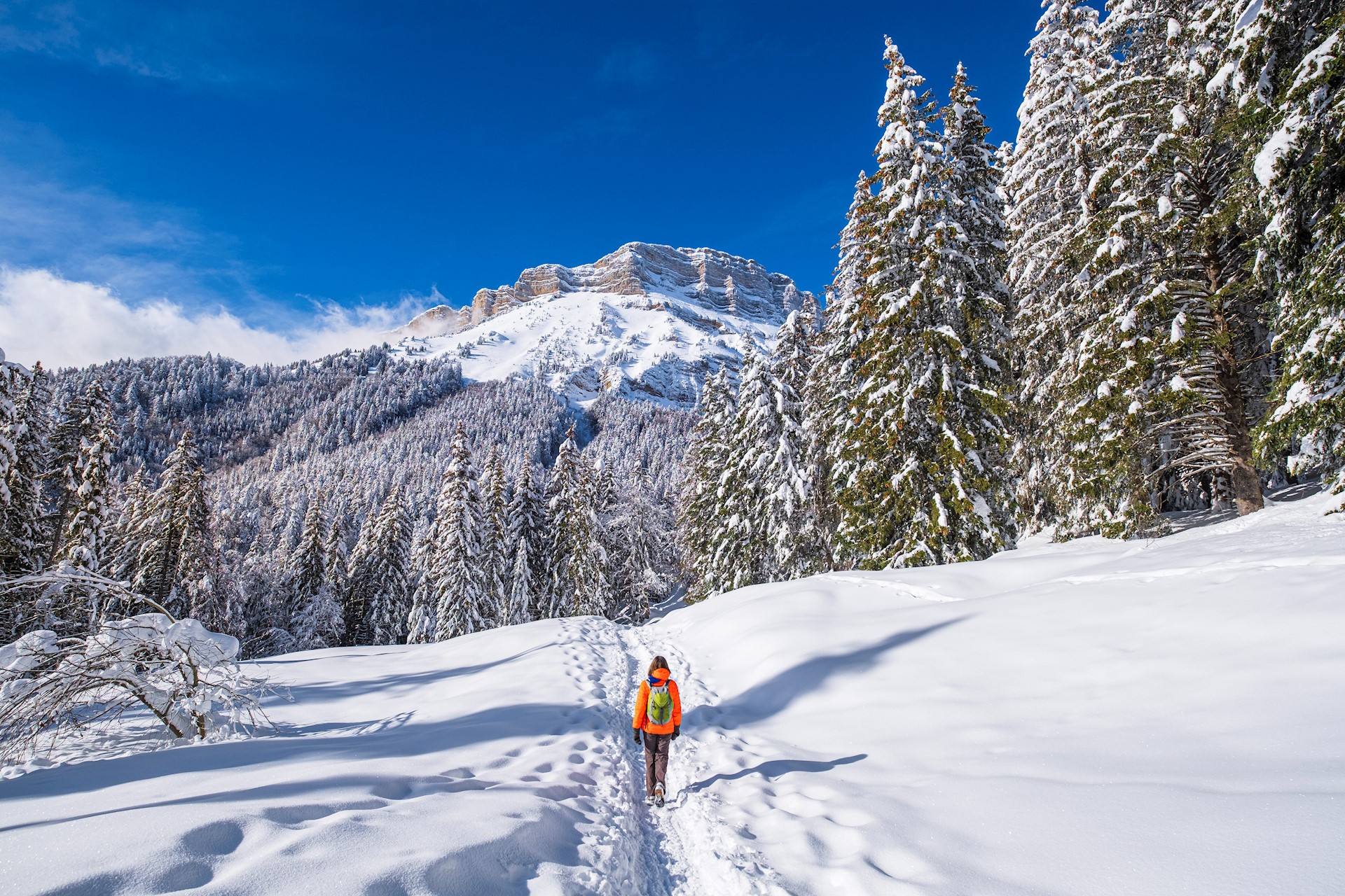 Franck GUIZIOU - HEMIS